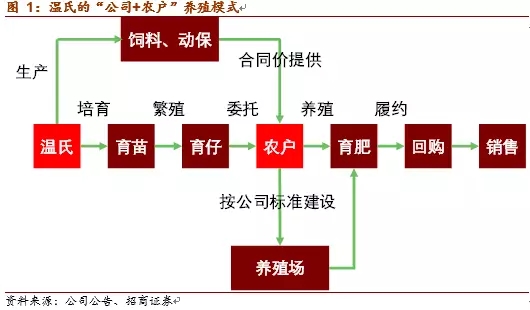 图2 温氏和农户的生产结算流程图